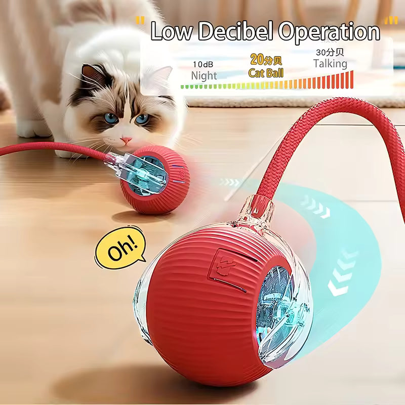 🐾 Smart Cat Ball – Play, Pounce & Chill 🎯✨