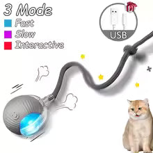 🐾 Smart Cat Ball – Play, Pounce & Chill 🎯✨