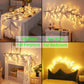 USB & Battery-Powered LED String Lights – Festive Glow for Every Occasion